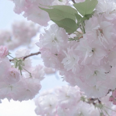 Furry绘画光影技巧兽圈群